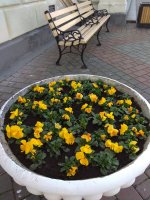 IMG_20220330_153959.jpg