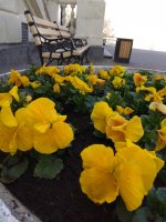 IMG_20220330_154033.jpg