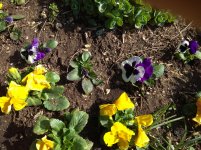 IMG_20220330_154918.jpg