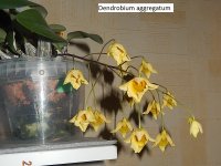 DSCN8448.JPG