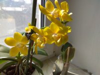 IMG_20220404_150839.jpg