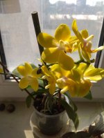 IMG_20220404_150852.jpg