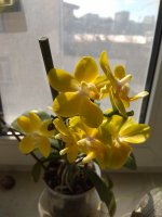 IMG_20220404_150856.jpg