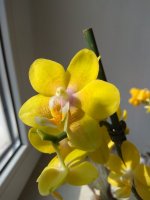 IMG_20220404_151043.jpg