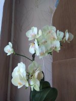 IMG_20220404_151712.jpg