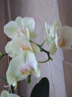 IMG_20220404_151722.jpg