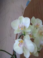 IMG_20220404_151823.jpg