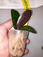 20220404_184540.jpg