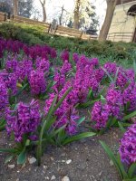 IMG_20220405_180144.jpg