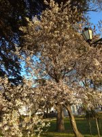 IMG_20220405_180919.jpg