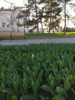 IMG_20220405_181039.jpg