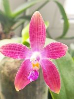 IMG_20220409_120013.jpg