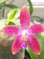 IMG_20220409_120026.jpg