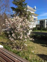 IMG_20220409_140839.jpg