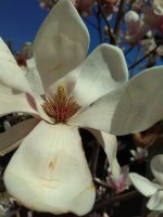 IMG_20220409_141459.jpg