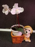 IMG_20211105_175505.jpg