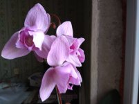 IMG_20220412_154959.jpg