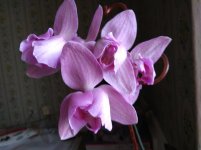 IMG_20220412_155020.jpg