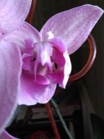 IMG_20220412_155240.jpg