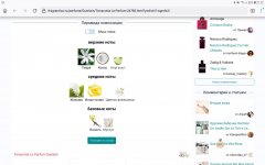 Screenshot_20220412-211207_Firefox.jpg