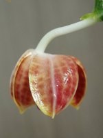 IMG_20220413_200918.jpg