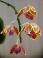 IMG_20220413_200710.jpg