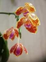 IMG_20220413_200607.jpg