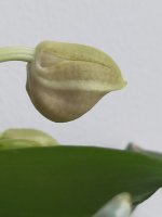 IMG20220414063015.jpg