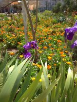 IMG_20220415_124617.jpg
