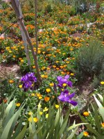 IMG_20220415_124624.jpg