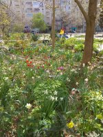 IMG_20220415_124816.jpg