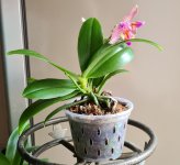 20220417_070238.jpg