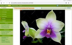 Screenshot_20220417-154138_Firefox.jpg