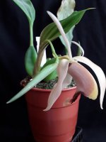 20220418_090635.jpg