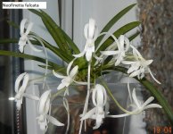DSCN8489.JPG