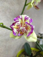 IMG_20220419_144445.jpg
