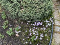 54D77346-C9C7-485C-987C-ADC7AE8D928B.jpeg