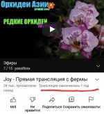Screenshot_20220424-055523_Samsung Internet.jpg