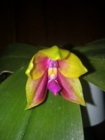 IMG_20220417_082335.jpg