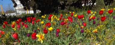 IMG_20220428_082417.jpg