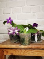 IMG_20220428_202620.jpg