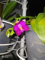 IMG_20220429_221825.jpg