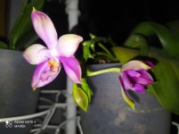 IMG_20220429_221841.jpg