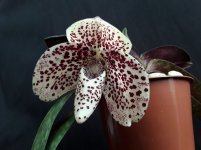 20180904_100327.jpg