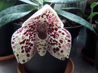20180401_121828.jpg