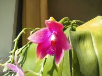 IMG_20220501_142216.jpg