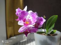 IMG_20220501_142319.jpg