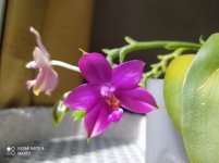 IMG_20220501_142422.jpg