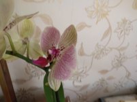 IMG_20220501_181507.jpg