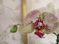 IMG_20220501_181610.jpg